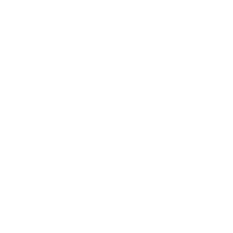 Max's Group Inc